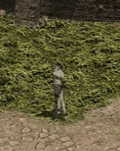 1791391387712 (1).gif